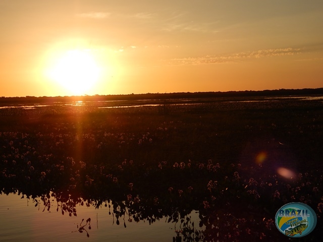 PIRA LODGE - Pantanal Argentino - Temporada 2.016